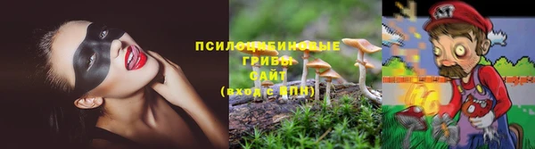 spice Алексеевка