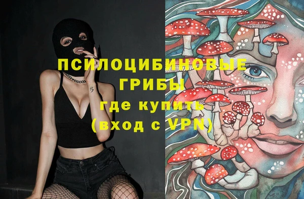spice Алексеевка