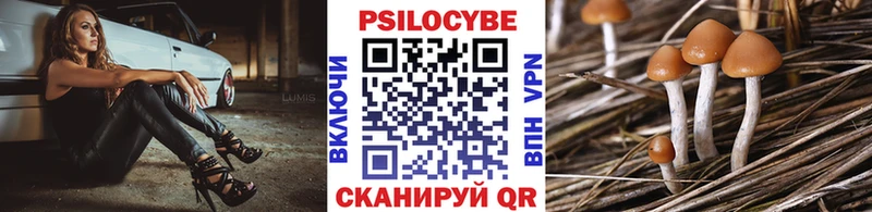 сколько стоит  Каневская  Галлюциногенные грибы Cubensis 